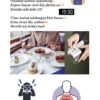 Suomen kielen seikkailukirja: Gimaran epäkielioppi (e-kirja: PDF)